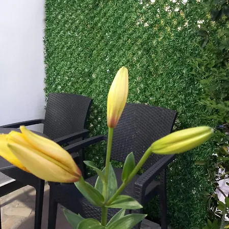 Bloom Garden Vlorë