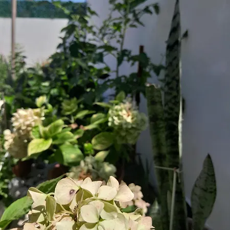 Bloom Garden بيت ضيافة